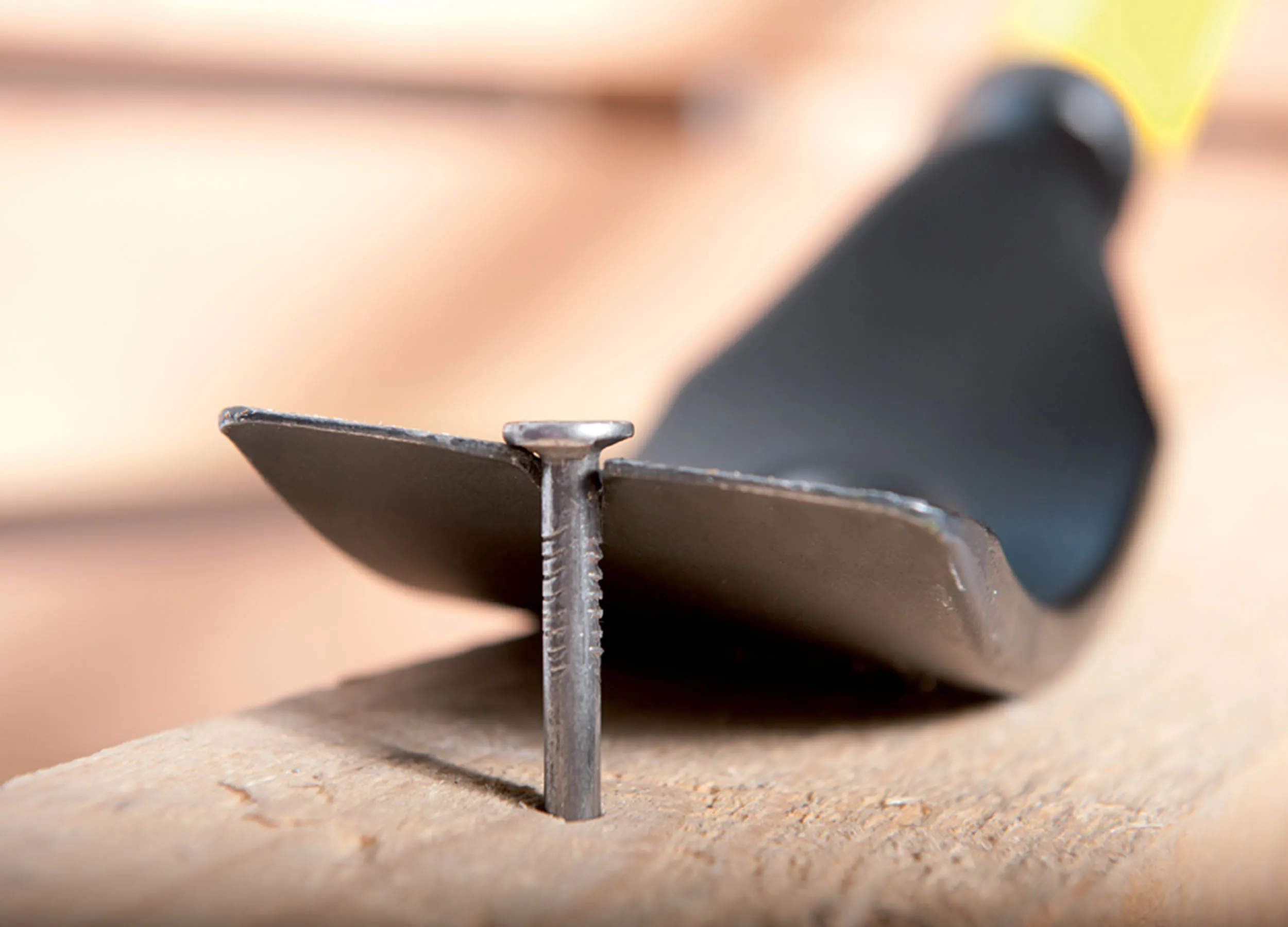 Hardened nail claw of the Kuli lifting a nail head