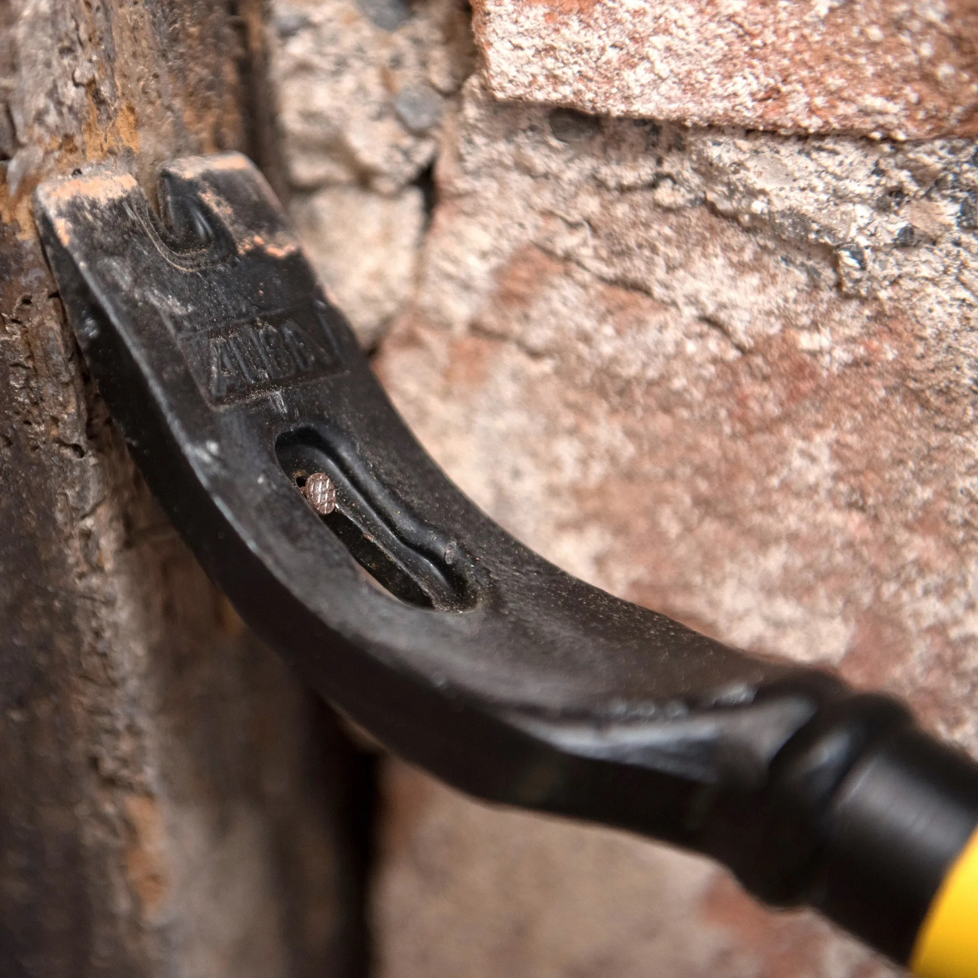 Forged head of the Murxli with nail slot, set in masonry