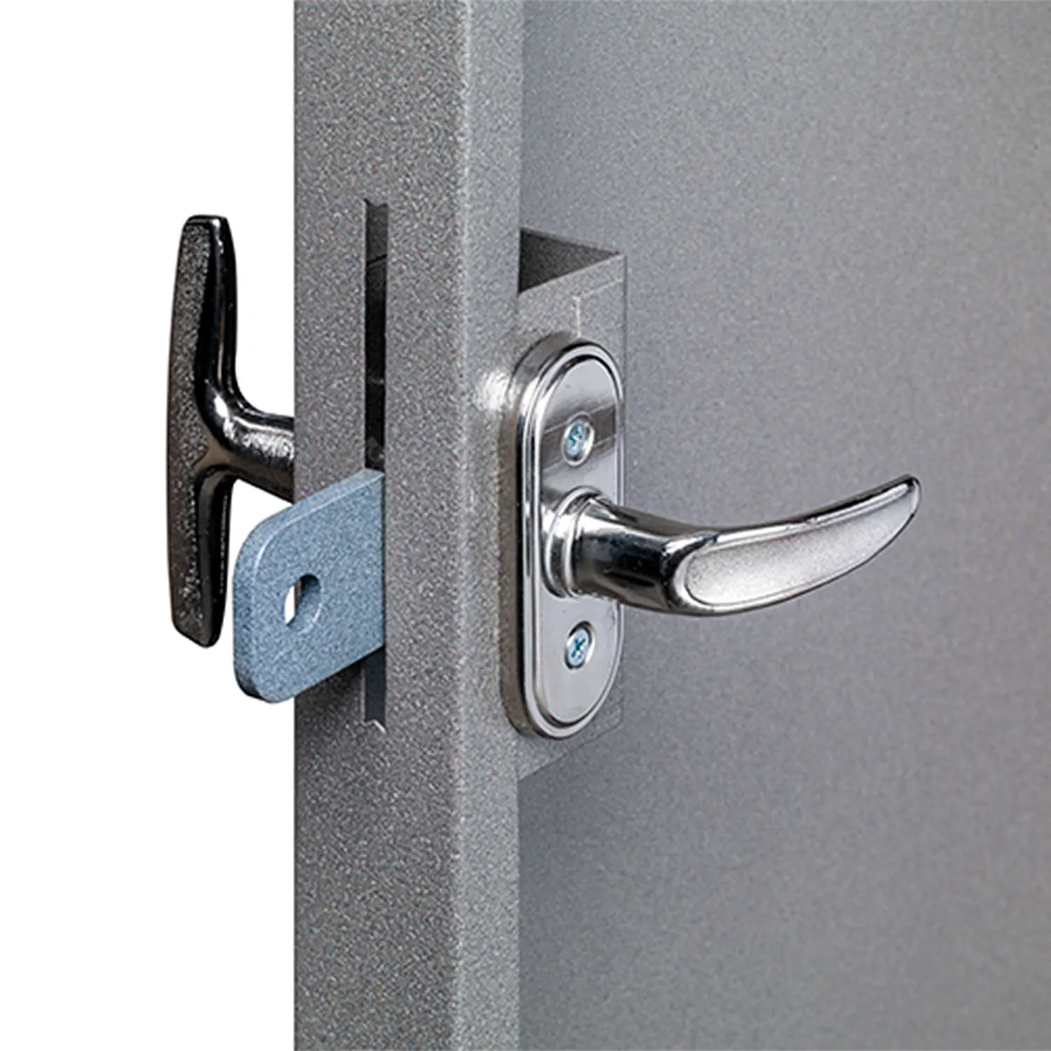 Handle and hasp of the ALBA Site Door